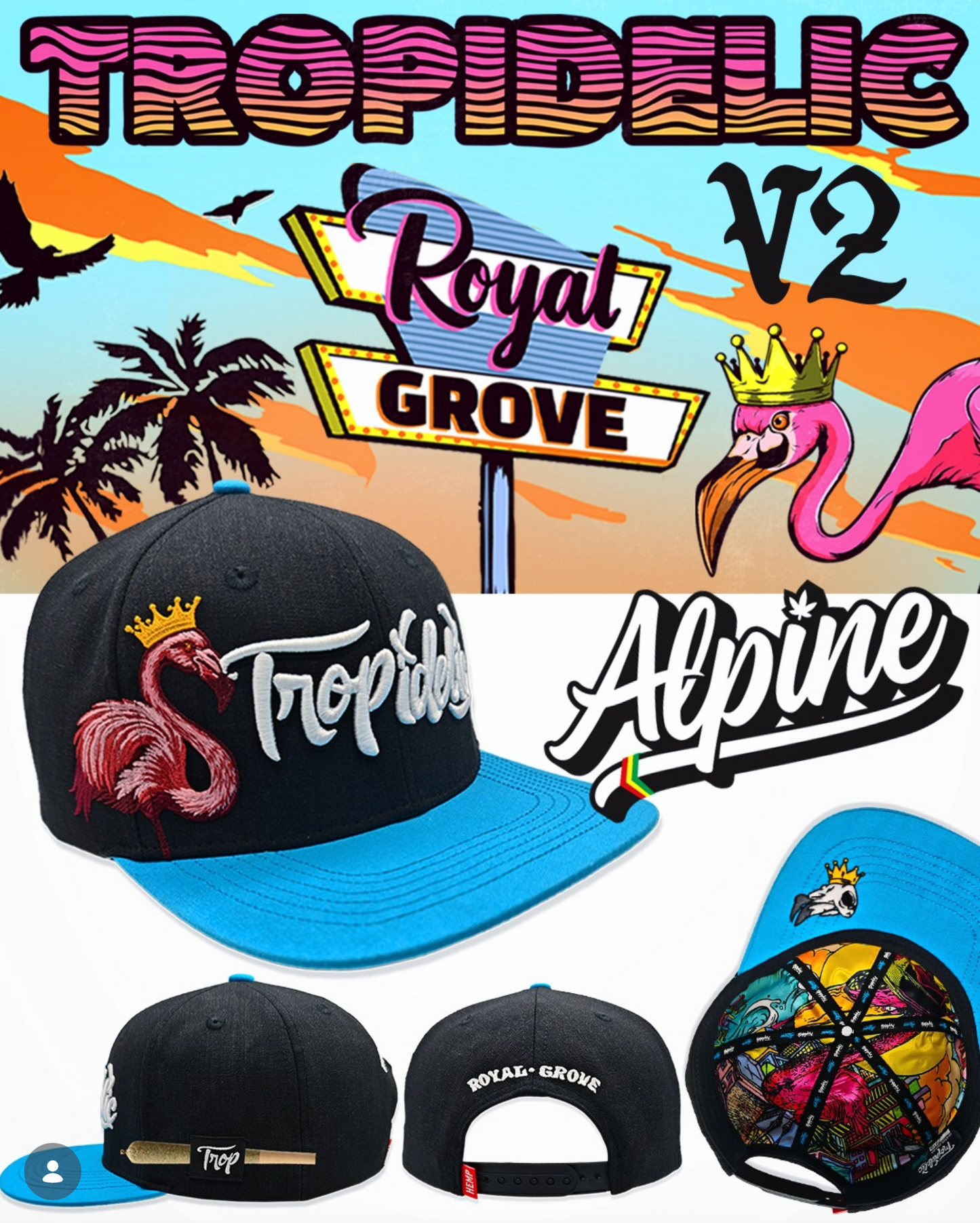 Alpine Hemp Co Tropidelic V2 NWT Ltd Ed Snapback Hat Black & Teal Miami Colorway