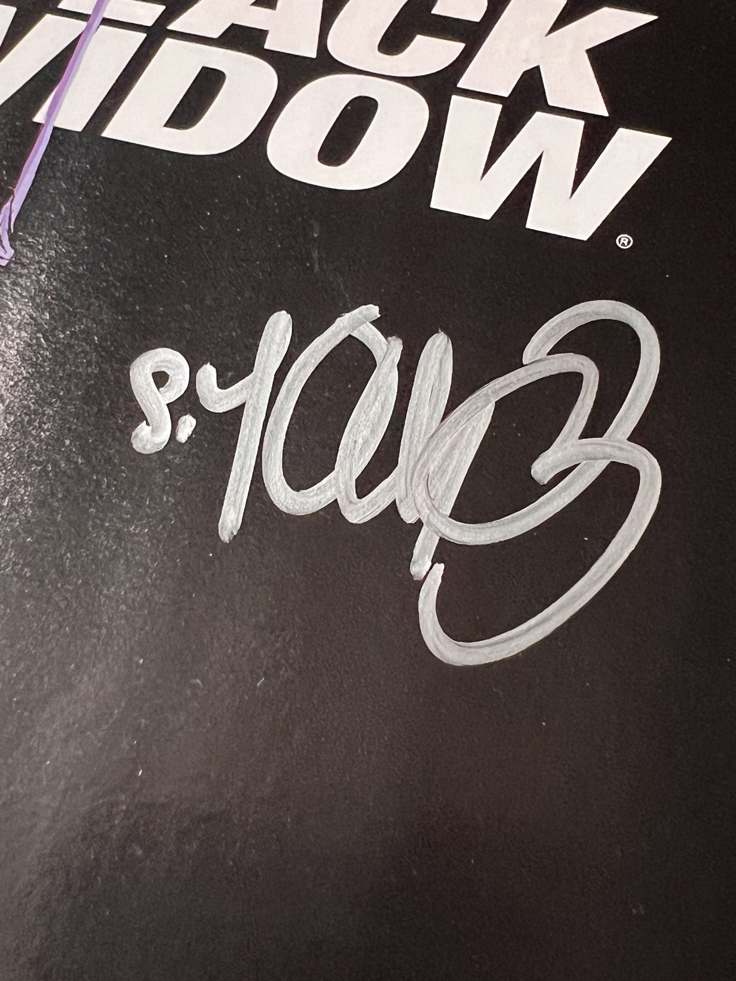 Black Widow #1 Skottie Young Variant Signed by Young 2014 VF/NM