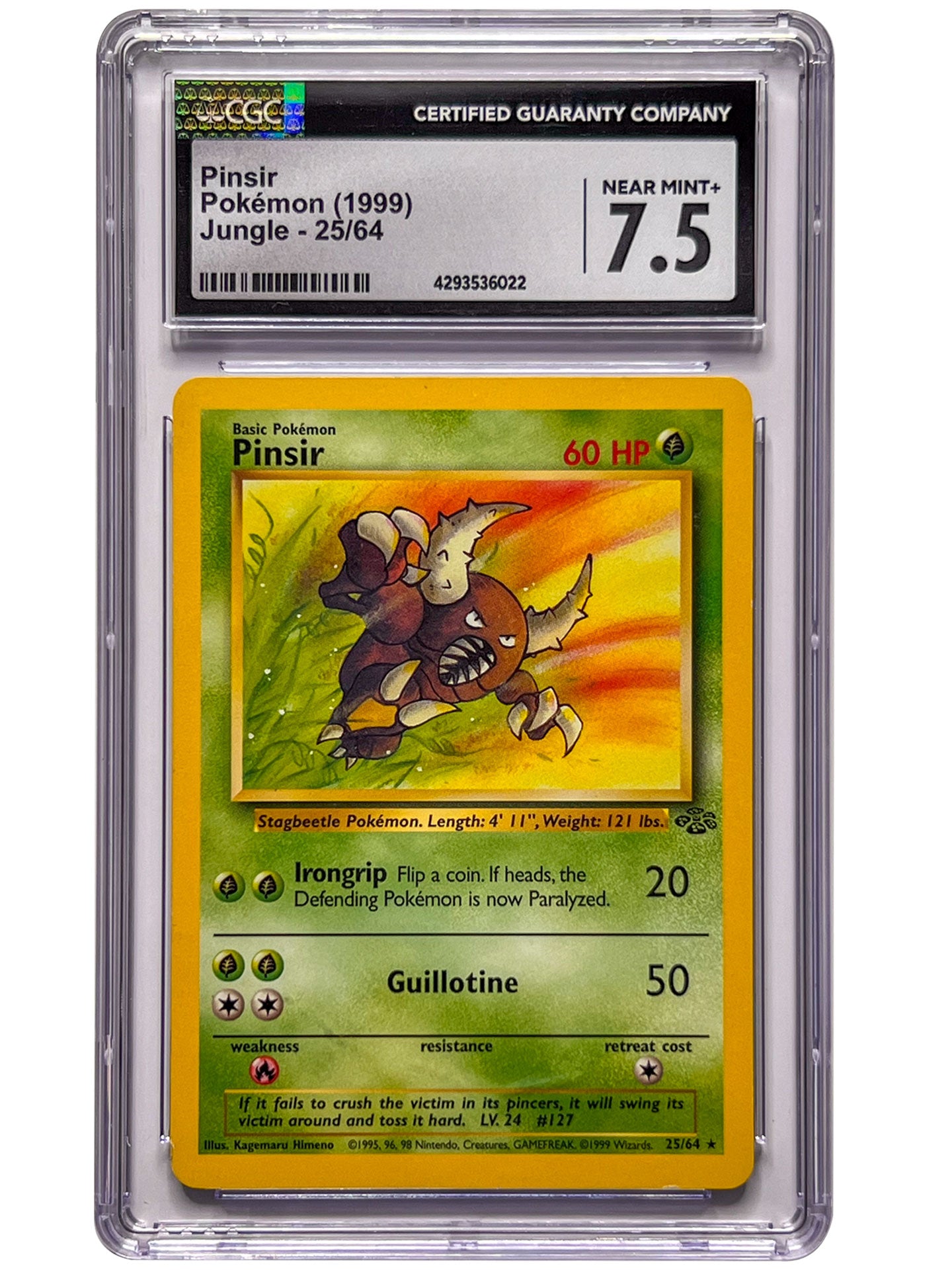 Pinsir - 25/64 Jungle Unlimited Near Mint (NM) Pinsir - 25/64 Jungle Unlimited Near Mint (NM)